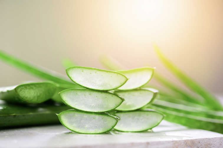 aloe-vera-diy-gel